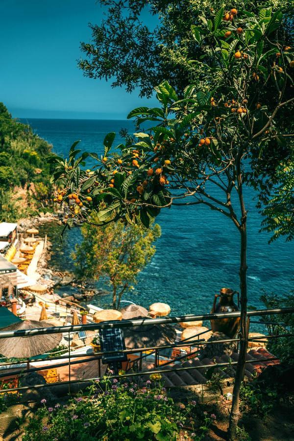 O' Vagnitiello - Parco Balneare Idroterapico - Camere - Ristorante Casamicciola Terme Екстериор снимка